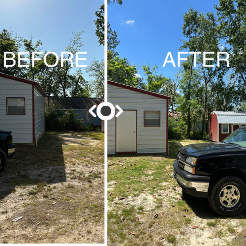 A before and after of property line landscaping.
