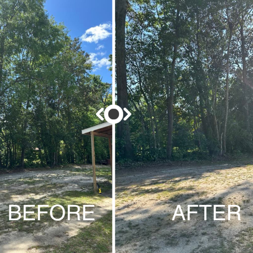 A before and after of property line landscaping.
