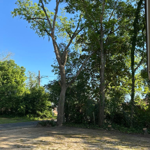 A clear property line.