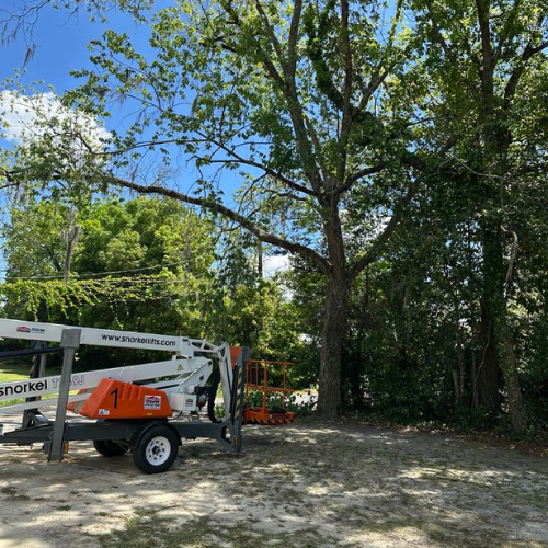 A boom lift next to a tree.