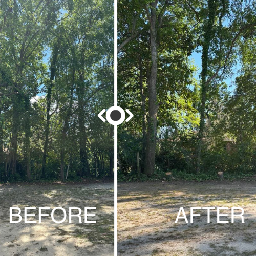 A before and after of property line landscaping.