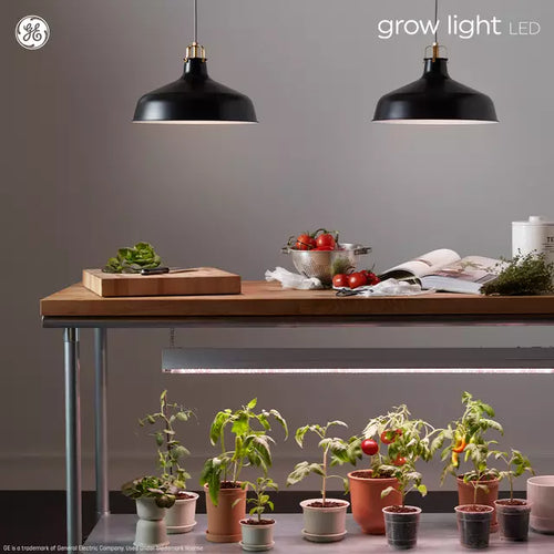 grow lights led bulbs GE Grow A19 LED Light Bulb for Flowers and Fruit