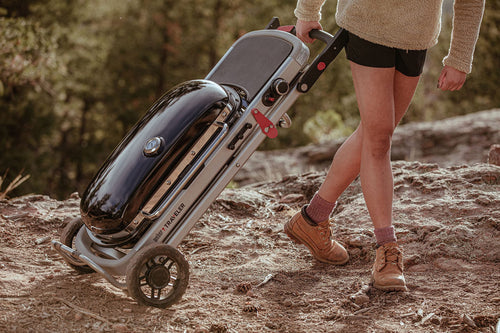 Grill, Portable – Weber Traveler Foldable Gas Grill