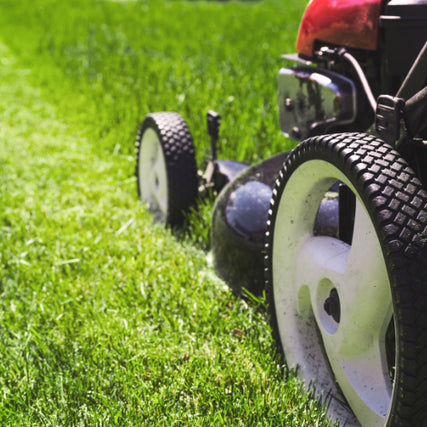 Landscaping RentalsA close up of a pushmower wheel 