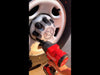 Milwaukee M18 FUEL™ 1/2″ High Torque Impact Wrench Rental – Tool Only