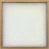 Flanders PrecisionAire 20 In. x 30 In. x 1 In. EZ Flow II MERV 4 Furnace Filter Flanders