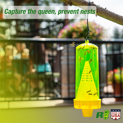 Sterling RESCUE! Yellowjacket Trap, Reusable Sterling International