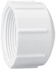 Lasco Fittings ½ FPT Sch40 Cap Lasco Fittings