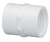 Lasco Fittings ¾ FPT x FPT Sch40 Coupling Lasco Fittings