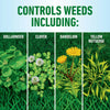 Roundup® for Lawns4 Ready-To-Use (Southern) Roundup