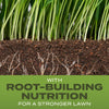 Scotts® Turf Builder® Grass Seed Tall Fescue Mix Scotts