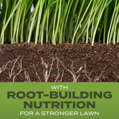Scotts® Turf Builder® Grass Seed Tall Fescue Mix Scotts
