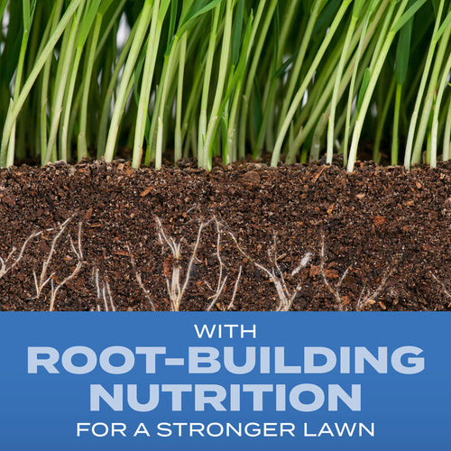 Scotts® Turf Builder® Grass Seed Sun & Shade Mix® Scotts