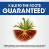Roundup Weed & Grass Killer4 with Trigger Sprayer Roundup