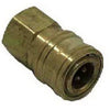 1/4 F x 1/4 FPT Pressure Washer Socket Various
