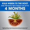 Roundup® Weed & Grass Killer Plus 4 Month Preventer with Pump 'N Go® 2 Sprayer Roundup