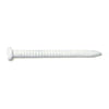 Monster Fastener White Painted Steel Panel Flat Head Nails Midwest Fastener