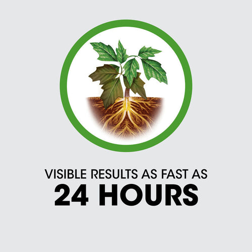 Roundup® Poison Ivy Plus Tough Brush Killer Roundup