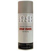 Spray Paint, Interior/Exterior, Silver Gloss, 10-oz. Aerosol Color Decor