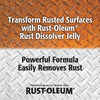 Rust-Oleum Automotive Rust Dissolver Rust-Oleum