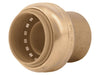Sharkbite Brass Push Cap SharkBite