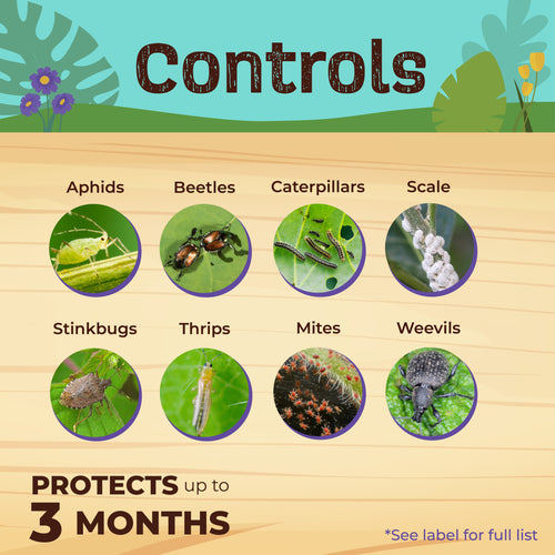 Bonide Captain Jack's Fruit Tree Spray  Concentrate Bonide