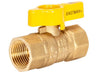 Eastman Female Straight Gas Valve Eastman