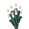 Christmas LED Light Set, Mini, Warm White/Green Wire, 100-Ct. Holiday Wonderland