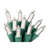 Christmas String to String Light Set, Clear/Green Wire, 100-Ct. Holiday Wonderland