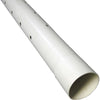 Charlotte Pipe 4 In. x 10 In. Perforated PVC Drain and Sewer Pipe, Belled End (2-Row) Charlotte Pipe