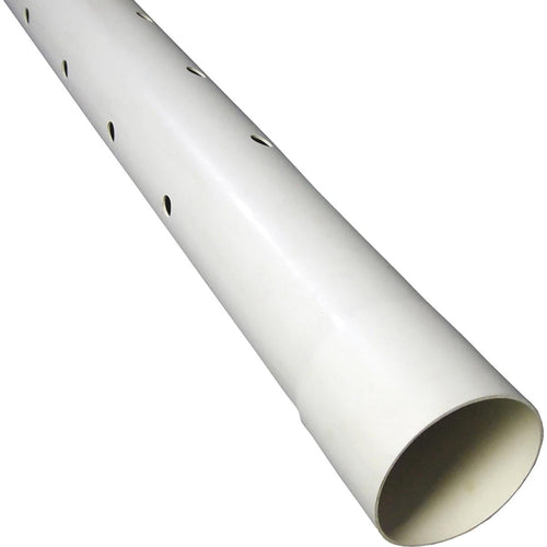 Charlotte Pipe 4 In. x 10 In. Perforated PVC Drain and Sewer Pipe, Belled End (2-Row) Charlotte Pipe