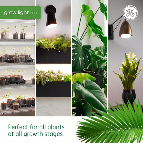 a19 grow light bulb GE Grow A19 LED Light Bulb for Flowers and Fruit